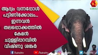 ചുള്ളിപ്പറമ്പിൽ വിഷ്ണുശങ്കർ Part 1  Chulliparambil Vishnushankar  E4 Elephant  Kairali TV [upl. by Riker]