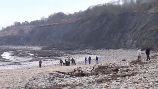 Landslide Lyme Regis Monmouth Beach February 11th 2013 [upl. by Eanahc]