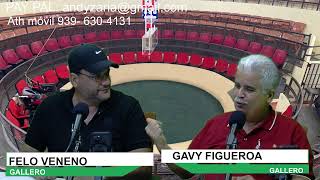 Hablando de Gallos programa260 [upl. by Yanffit]