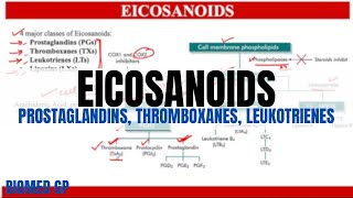 Eicosanoids Prostaglandins Thromboxanes and Leukotrienes [upl. by Nosae]