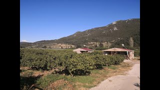 Yatırım Fırsatı Menderes Ahmetbeyli Yol Üzeri 8 Dönüm Arazi [upl. by Gridley309]