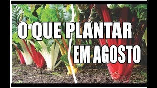 HORTA O QUE PLANTAR EM AGOSTO [upl. by Otilopih522]