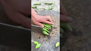 Edamame cutting process Good tools and machinery can increase work efficiency [upl. by Ahsirek987]