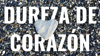 quotDUREZA DE CORAZÓNquot Pra Liliana Fernandez [upl. by Alemak]