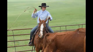 Real deal spring roundup amp branding at Wald Ranch in Montana [upl. by Aracot]