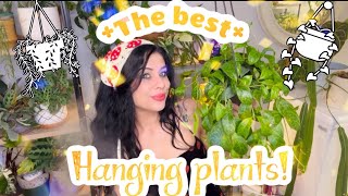 The BEST Hanging  Trailing Houseplants You NEED these Plants in your home 🌱 [upl. by Atinal]