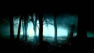 Dark dubstep mix 11 2013 [upl. by Nasho918]