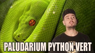 Tuto Viridis Reptile  Mon Paludarium pour Python Vert [upl. by Hayott]