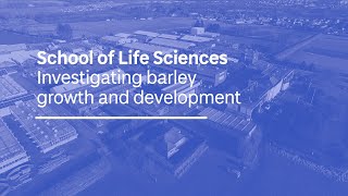 Investigating barley growth and development Audio Described [upl. by Nirda]