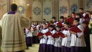 Belfast Cathedral Choir  Panis Angelicus Franck [upl. by Lytsirk885]