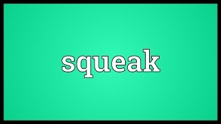 Squeak Meaning [upl. by Oler403]