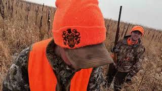 2023 Kansas Pheasant Hunt [upl. by Niwde979]