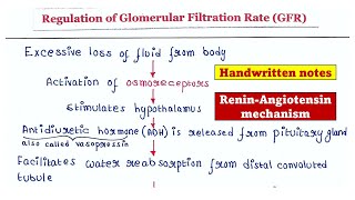 Regulation of glomerular filtration rate GFR [upl. by Aekahs244]