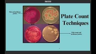 11 Detection and Determination of Bacillus cereus in water [upl. by Mirilla117]