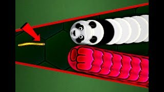 Wormaxio 1 HACKER WORM VS 12500 WORMS  EPIC WORMAXIO GAMPLAY Wormaxio Trolling Best of Wormax [upl. by Balcer]