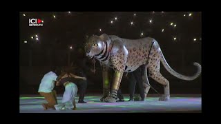 Leopard for Francophone Games Kinshasa 2023 [upl. by Wesla]