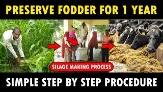 Silage Making Process  How to make Silage for Cows  Goats  Cattle Feed Making Method [upl. by Dub]