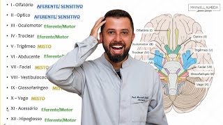 Tudo sobre nervos cranianos  Os 12 pares [upl. by Shinberg160]