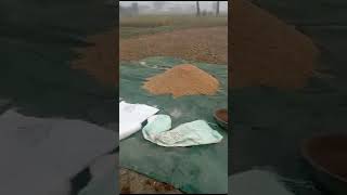 song Agricultureupkar sborts [upl. by Nason]