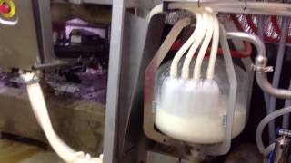 Lely Robotic Milker Milk filling the weigh jar [upl. by Ydnem]