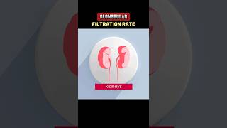 GLOMERULAR FILTRATION RATE gfrglomerularfiltrationrate EXPLAIN GFRGLOMERULAR FILTRATION RATE [upl. by Kaiser]