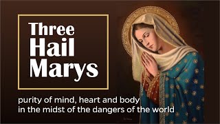 The Three Hail Marys  Purity of Mind Heart and Soul catholic prayer devotional jesus church [upl. by Par369]