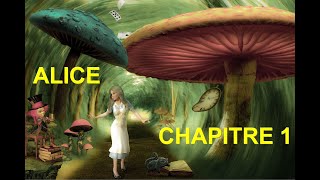 Alice au pays des merveilles  Chapitre 1  livreaudio Livre audio [upl. by Tadeo47]