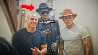 Miami Vice Backstage  Tego Calderon Concert Bad Bunny Anuel Karol G Farruko Anitta Tainy [upl. by Grindle]