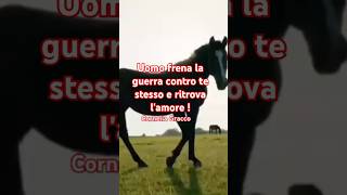 Il tempo ha smarrito le stagionifrasi poesiebrevimotivazionedelgiorno frasidelgiornoamareperte [upl. by Asseral]