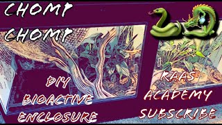 Boa Constrictor BioActive Enclosure Done amp Activated Chomp Chomp [upl. by Reivax459]