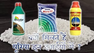 क्यों मिलाते हैं Glycel में Urea  Kyu milaate hai Glycel me Urea [upl. by Alva]