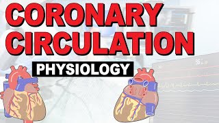 What is the PHYSIOLOGY of the coronary circulation [upl. by Eerehc39]