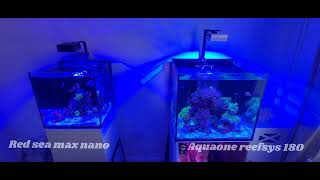 Aquaone Reefsys 180  Soft Coral Tank [upl. by Groscr]