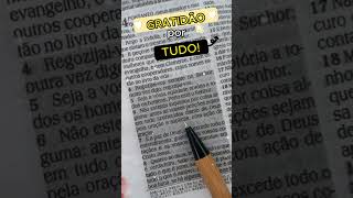 Versículos de Gratidão da Deus  Receba Senhor nossa Gratidão [upl. by Ainslie591]