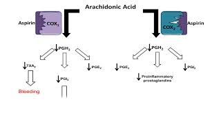 Asprin NSAID  Mechanism of Action antiinflammatory action [upl. by Viquelia]