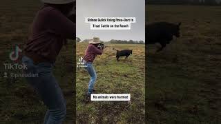 Sidnee Gulick Using PneuDart to Treat Cattle on the Ranch [upl. by Aek]