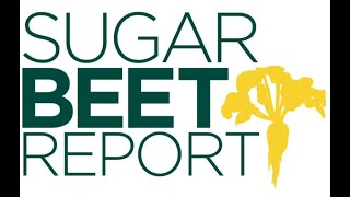 The SugarBeet Report audio only NDSU Dr Tom Peters April 11 2024 [upl. by Alehcim]