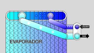 Función del Evaporador Animación 2D [upl. by Lemon167]