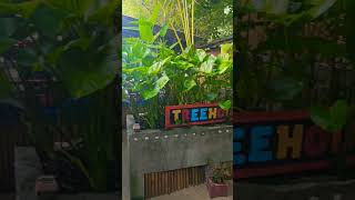 Thailand weather report Oct21 The Tree House Koh Samui [upl. by Ettenig]