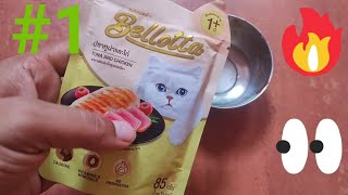 Bellotta best cat food 🔥Reaction after eating lots treats amp Bath👍 still works 🎉 [upl. by Bridwell]