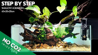 Full AQUASCAPE Step by Step TUTORIAL  NO CO2 Shallow AQUARIUM [upl. by Buzzell]