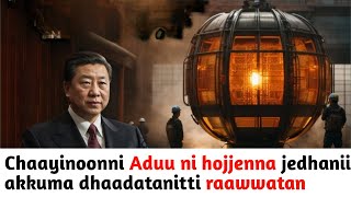 🌍Chaayinoonni Aduu ni hojjenna jedhanii akkuma dhaadatanitti raawwatanetv afan oromoRisaa Media O [upl. by Anaya]