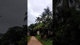 Ajj Dekhiye Dana Cyclone Ka Pravab Padna Shuru Ho Geya Hai😳😱 ytshots dana cyclone odisha [upl. by Hayouqes]