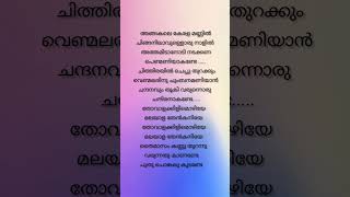 Sundariye✨ song lyrics malayalamsonglyrics music statusvideo shorts youtubeshorts trending [upl. by Broder294]