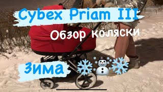 Коляска Cybex Priam III зимой  обзор [upl. by Ainesell]