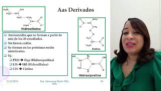 AMINOÁCIDOS  Dra Glenny Mirabal  Bioquímica [upl. by Angelle]