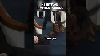 KESETIAAN TERAKHIR DIMEDAN P3RANG [upl. by Rosmarin]