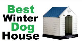 Winter Dog House 10 Best Winter Dog House  Best winter dog house 2018 [upl. by Aicnilav]