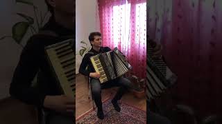 Flavius Niculcea  Instrumental Hohner Verdi 3 • Dar vremea a trecut [upl. by Adnamor]