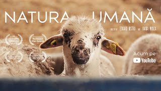 Natura Umană 2021  film documentar România [upl. by Yelyr551]